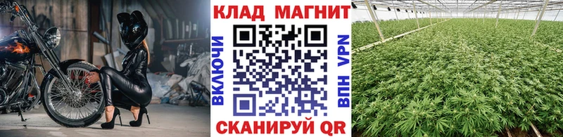 Продажа наркотиков Высоковск Конопля  A-PVP  МЕФ 