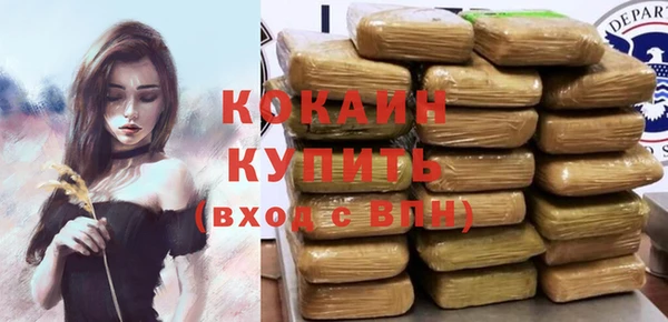 мяу мяу мука Гусь-Хрустальный