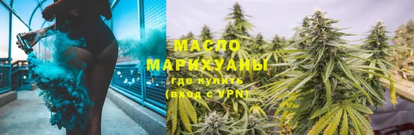 мяу мяу мука Гусь-Хрустальный